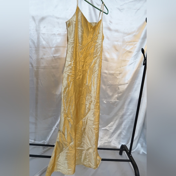 Golden Slip Dress - Picture 2 of 2